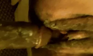66 سالہ بہترین بلیک  ...