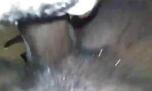 آبنوس رانی میرے ڈک پ ...