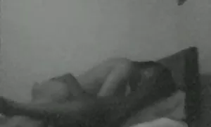 بڑے سیاہ کاکس کے سات ...